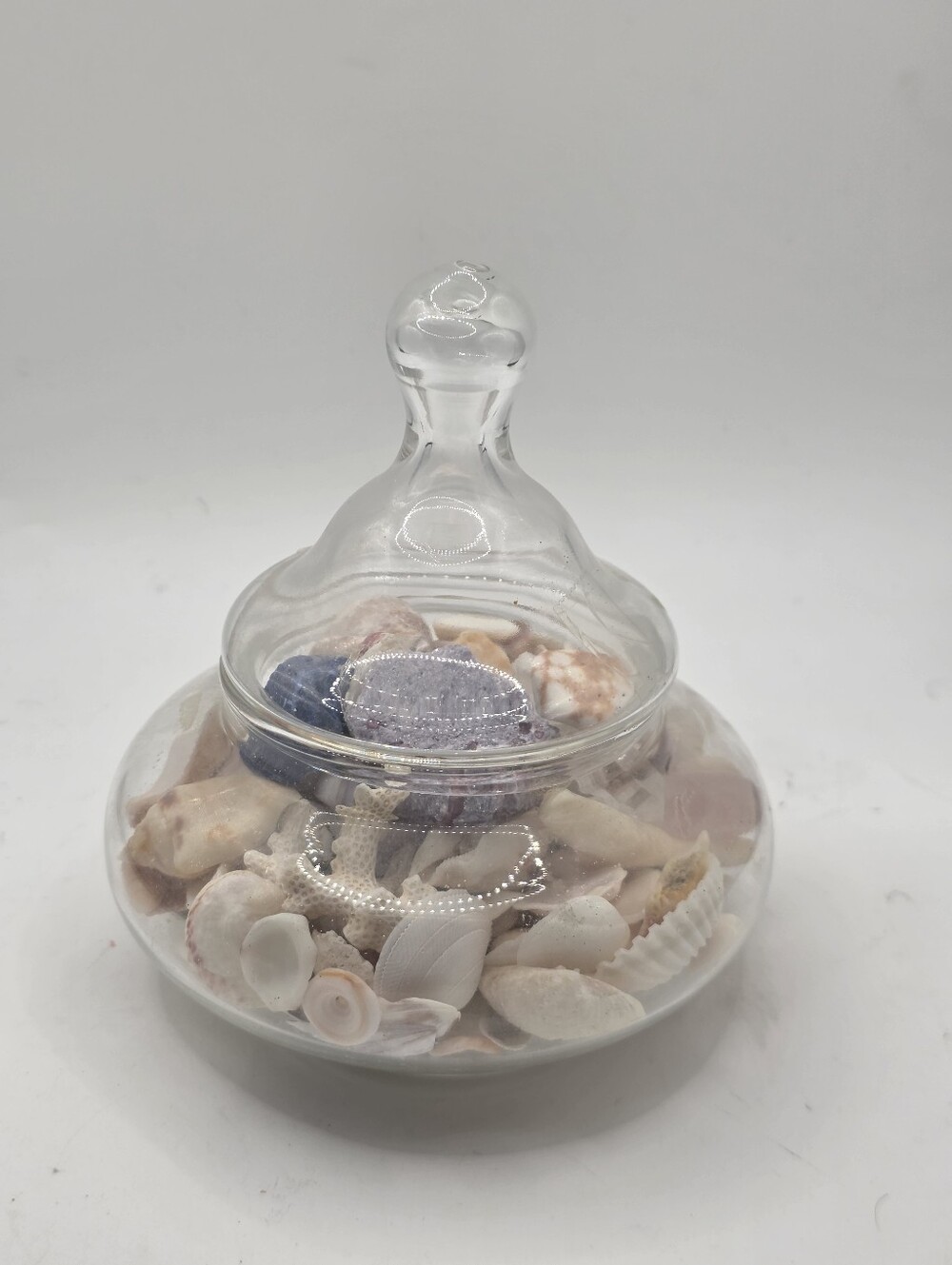 Glass Apothecary Candy Jar Lid Full Vintage Sea Shells Minerals Coral Collection